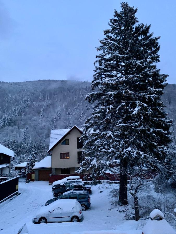 Holiday Home In Sinaia Kültér fotó