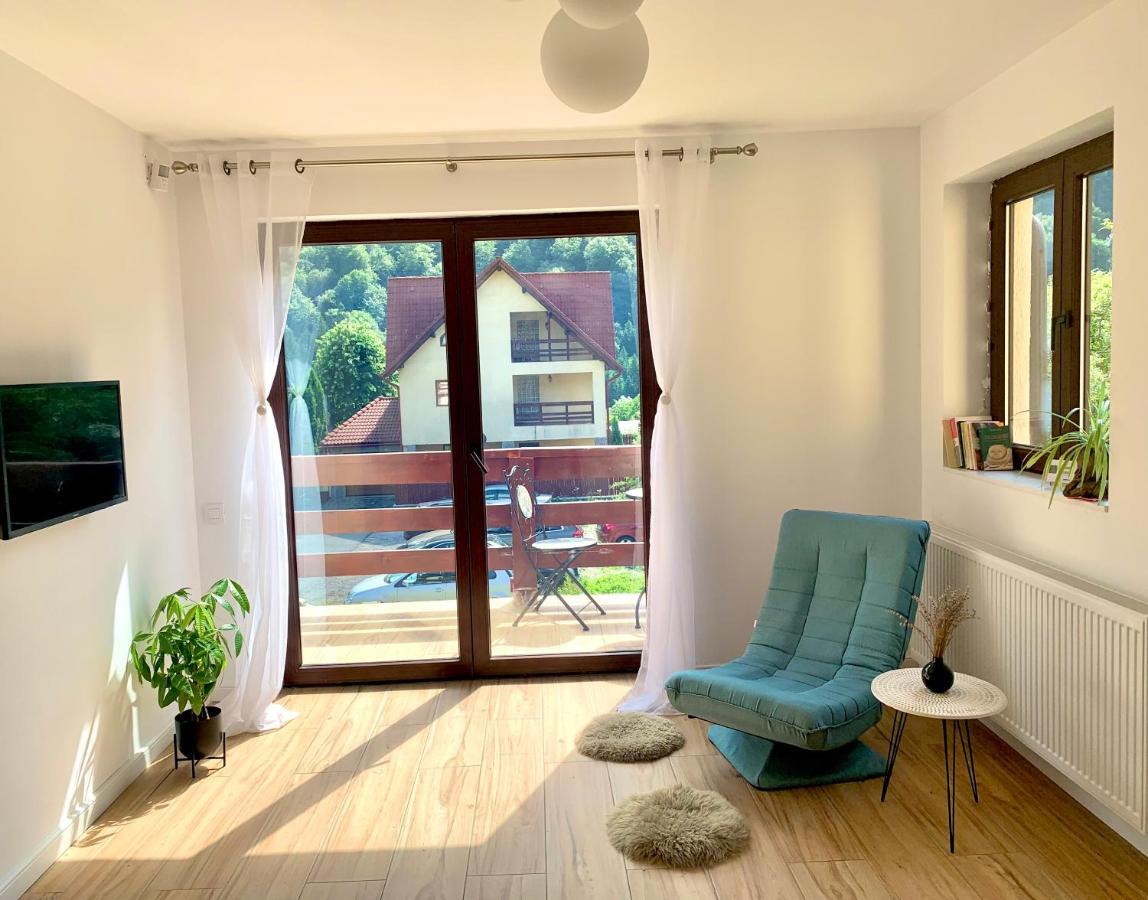 Holiday Home In Sinaia Kültér fotó